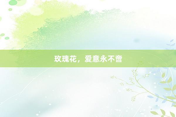 玫瑰花，爱意永不啻