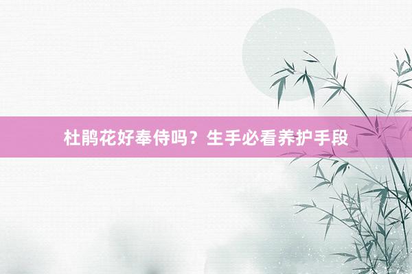 杜鹃花好奉侍吗?生手必看养护手段