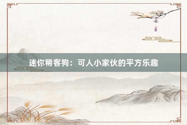 迷你稀客狗:可人小家伙的平方乐趣