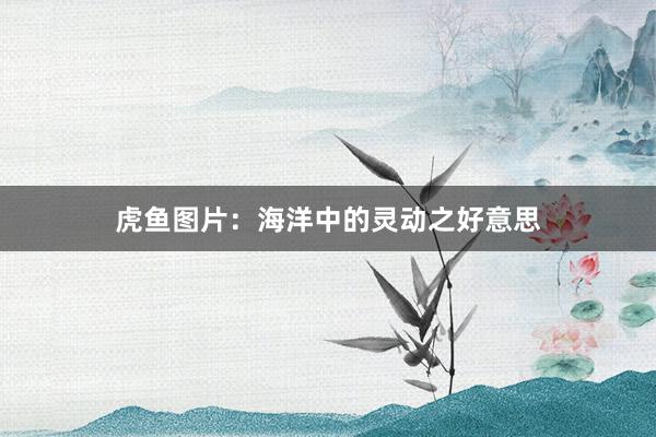 虎鱼图片：海洋中的灵动之好意思